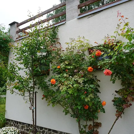 Chata Zar בית נופש *