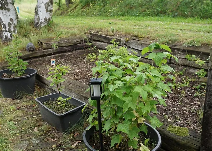 Chata Zar Дом отдыха *